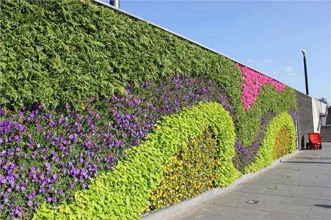 垂直绿化墙-垂直墙面绿化 增绿别具匠心