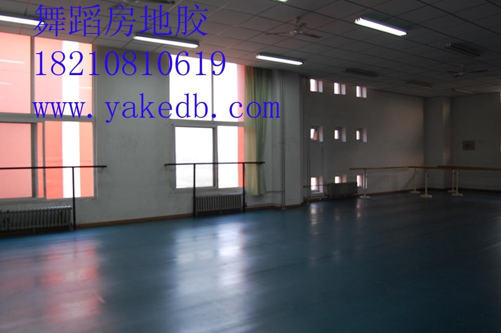 北京专业舞蹈地板。河北专业舞蹈房地板。东北专业舞蹈学院地板。辽宁专业芭蕾舞蹈地板