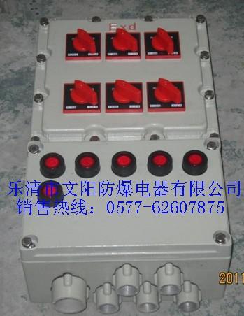 专业生产BXM51系列防爆照明配电箱（IIB/IIC）