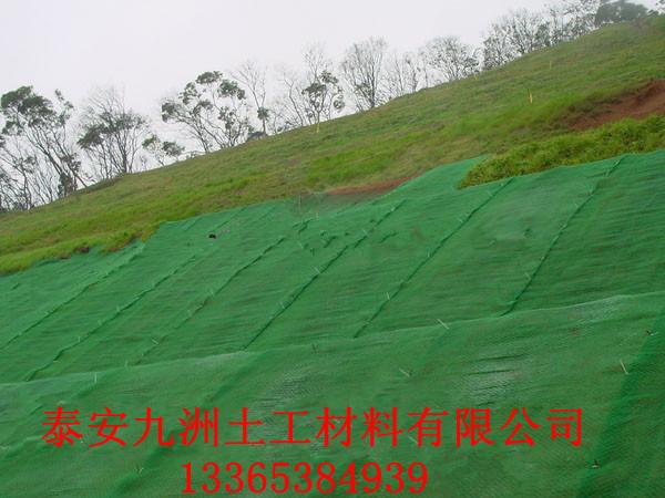 种草三维植被网护坡，三层，四层护坡网垫