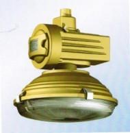 专业生产SBD1105-YQL120免维护节能防爆灯