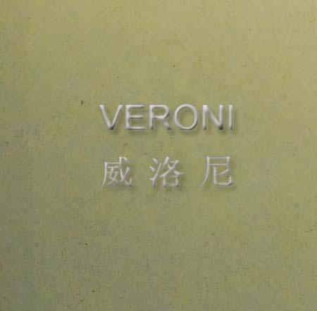 威尼斯系列进口艺术涂料