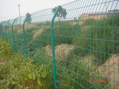 开发区隔离栅、果园隔离栅、绿化带围栏网