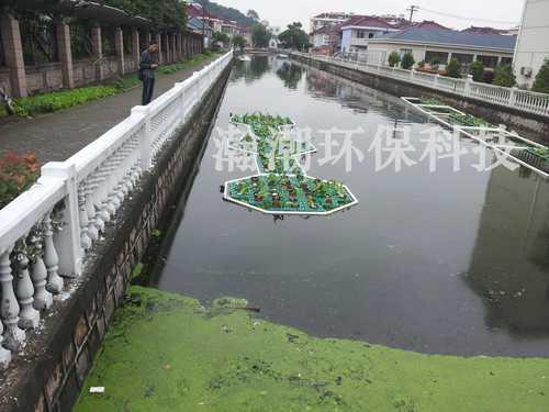 水体黑臭、富营养化治理专用生态浮床