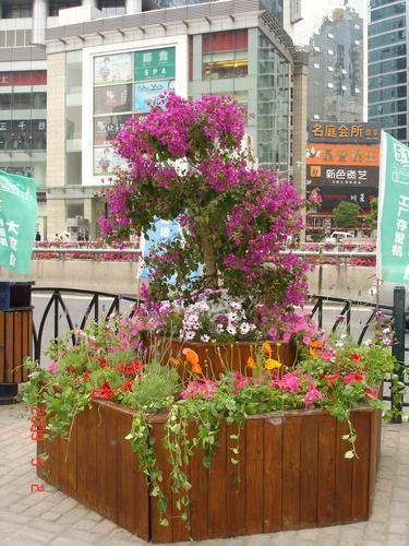 防腐木花箱,种植花槽,组合花钵,广场花盆 景观小品 