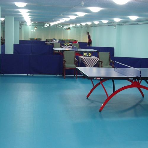 室内专用乒乓球地板,乒乓球馆专用地胶.乒乓球专用塑胶地板胶.乒乓球PVC地板