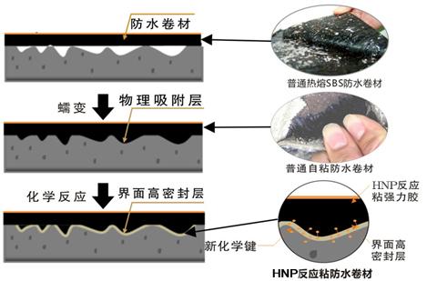 广州白云CPS-CL反应粘结型高分子湿铺防水卷材