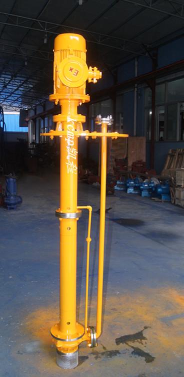 温州 40FY-16型液下化工泵