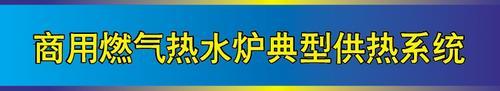 燃气锅炉 酒店宾馆直供热水设备 供热供暖锅炉