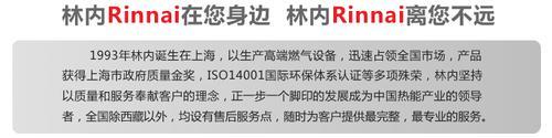 燃气采暖锅炉采暖供热水燃气壁挂炉热水锅炉