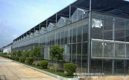 晋城花卉种植用玻璃温室大棚