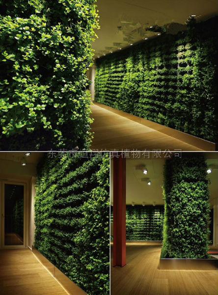 仿真植物墙 橱窗植物墙