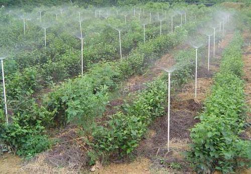 农场灌溉喷灌系统_CO土木在线