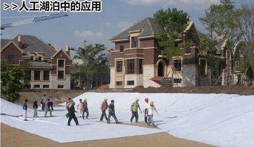 山东厂家供应防水毯 防水材料防水板环保材料