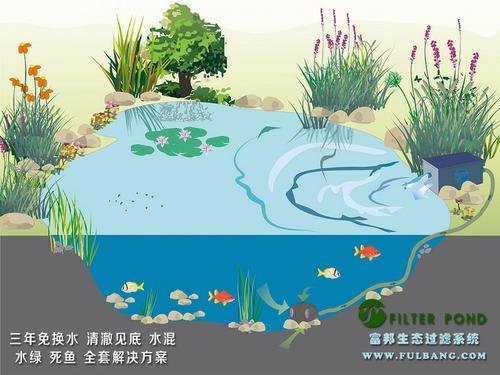 泰安庭院鱼池设计富邦水质净化器