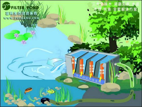 烟台小区锦鲤鱼池改造富邦水质净化器