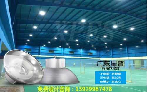 广东星普室内羽毛球馆篮球场专用无极灯