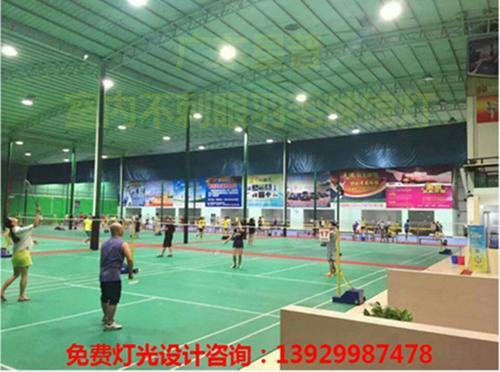 广东星普室内羽毛球馆篮球场专用无极灯