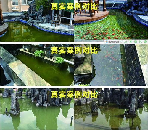 K.10000专业解决鱼池水质变绿变混