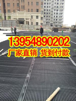 2公分屋顶绿化排水板
