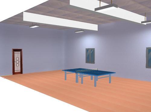 室内乒乓球馆，新建乒乓球室专用灯光