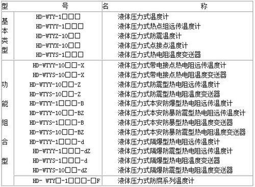 WTYY-1021温度计型号及参数