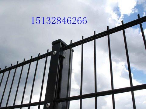 方钢金属立柱隔离网、绿化带铁丝防护栏