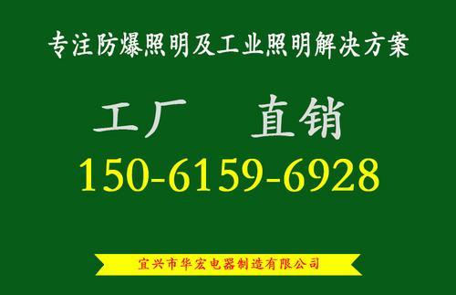 BAD808-L2LED防爆泛光灯100W　LED防爆投光灯　LED防爆投射灯