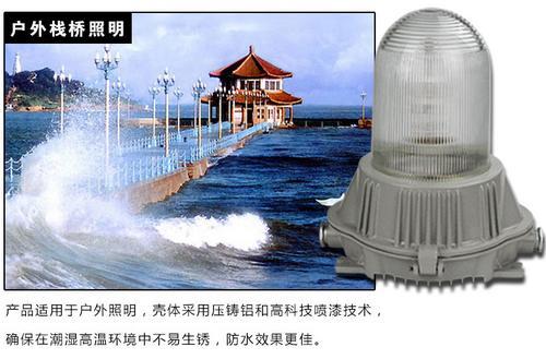 海洋王NFC9180防眩泛光灯电厂照明灯 车间三防灯