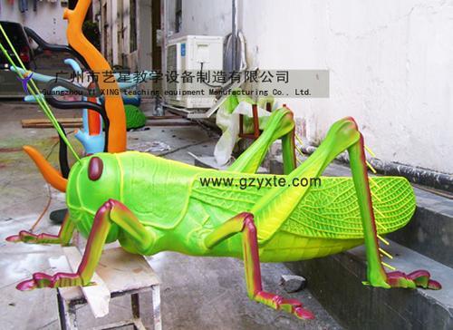 厂家直销节肢动物-蝗虫模型