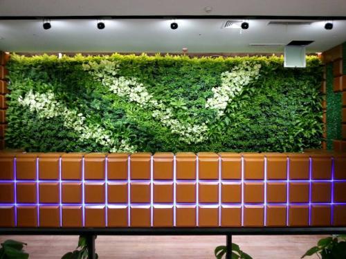 广州植物墙制作需要注意的一些事项