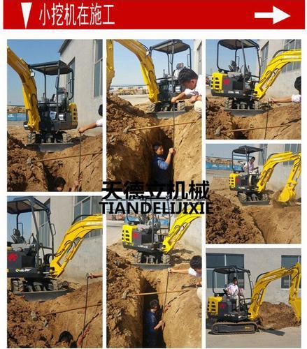 TDLW-10履带式小型挖掘机 果园挖掘机 地基挖坑机