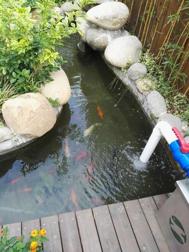 卡利净 5000庭院观赏鱼池自行排污过滤器