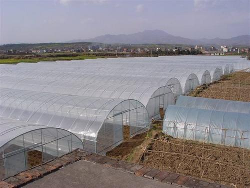 强骏温室大棚（四季）玻璃蔬菜温室河北生产厂家