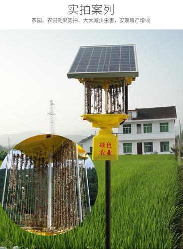 农用太阳能频振式杀虫灯环保户外太阳能诱虫灯电击式灭虫果园农场