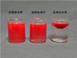 腐蚀水质用聚丙烯酰胺去除丝状物的工艺法