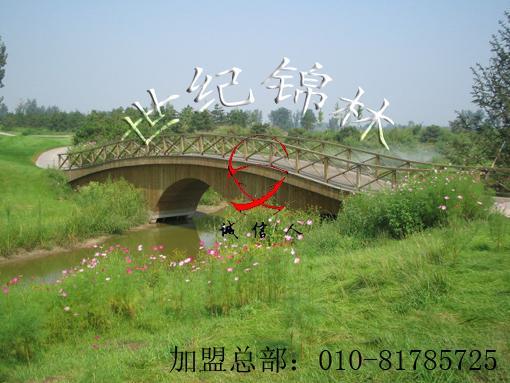 北京高尔夫球场木桥