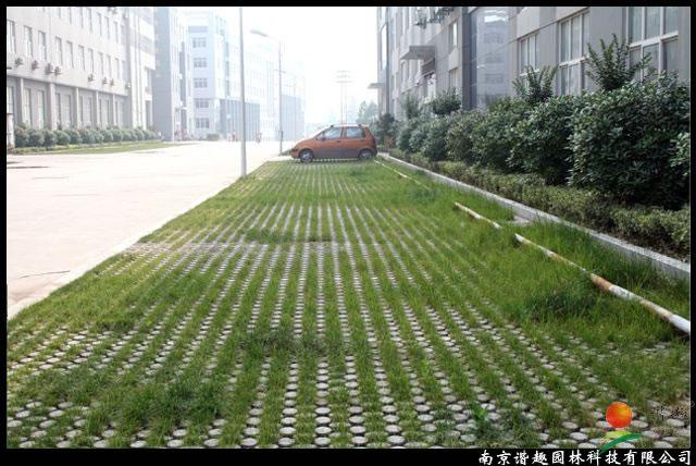 南京双龙街高承载植草地坪