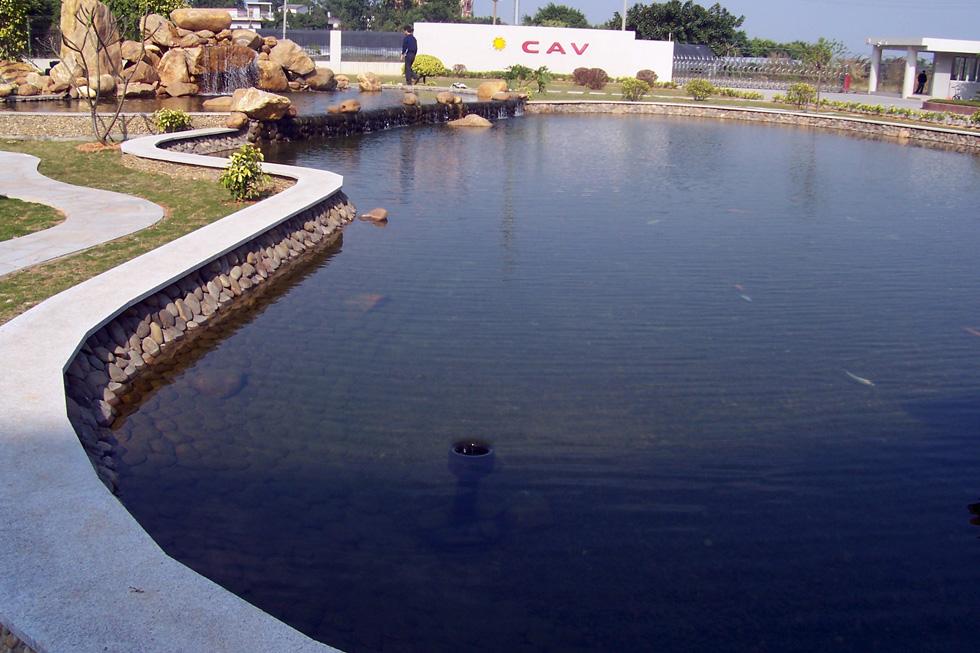 CAV电子厂区景观鱼池