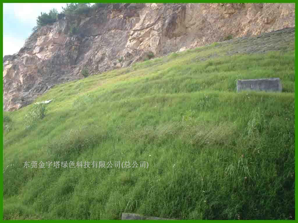 福建泉州公路局