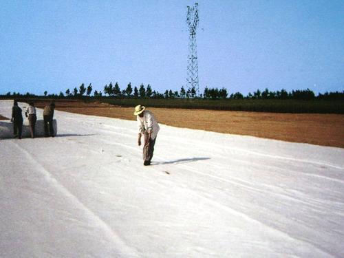  Laying of geotextile for Tai'an Yanma