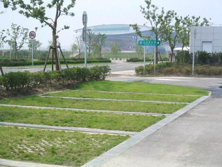 上海F1国际赛车场植草地坪