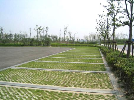上海F1国际赛车场植草地坪