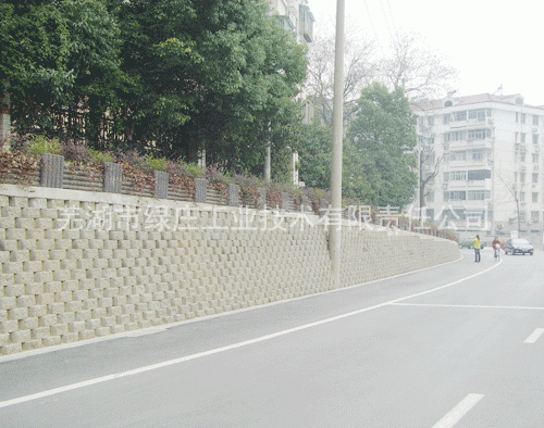 南京市道路仿木花坛花圃