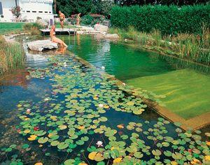 生态泳池