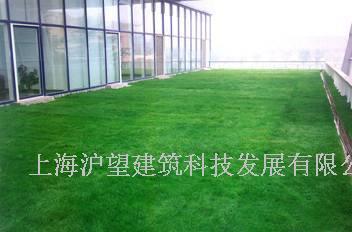 上海同济大学屋顶绿化工程