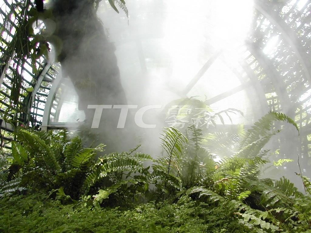 香港动植物园雾森工程