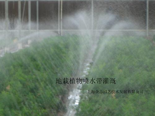 地栽植物微喷带灌溉