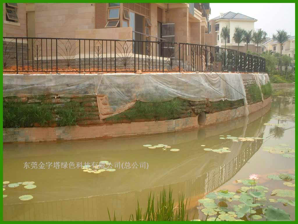 施工完毕后，喷播草种绿化形成生态河堤，让住户在家中便可以感受到大自然的气息。