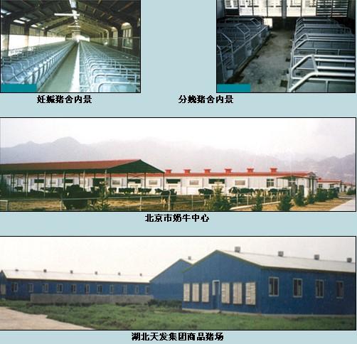 畜牧工程设计项目案例—深圳华宝养猪场